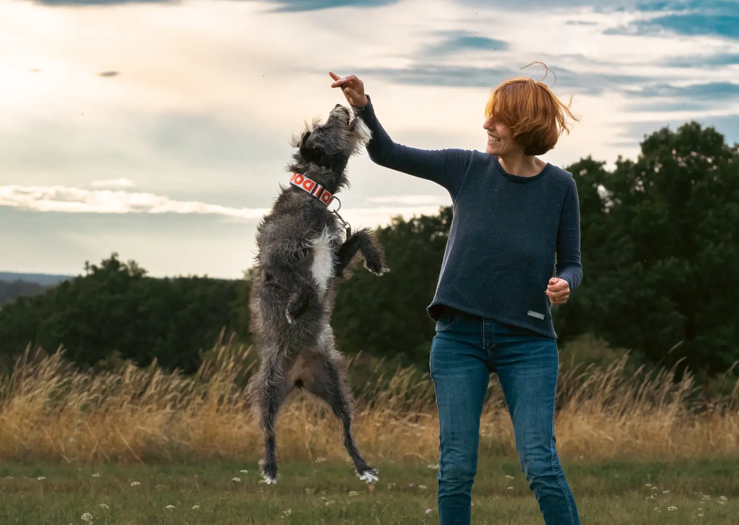 Ein Hund springt, um nach Katrin Wolfs Hand zu greifen