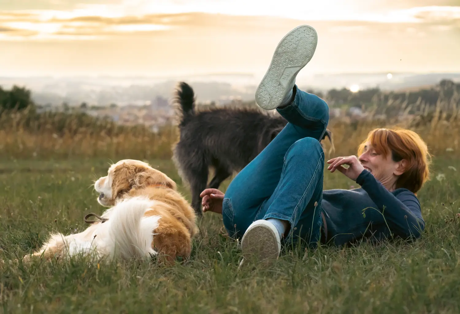 Katrin Wolf spielt mit Hunden