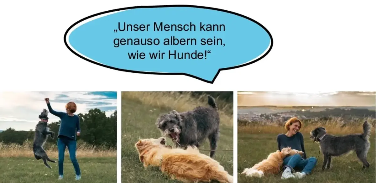 Hund und Wolf, Hunde